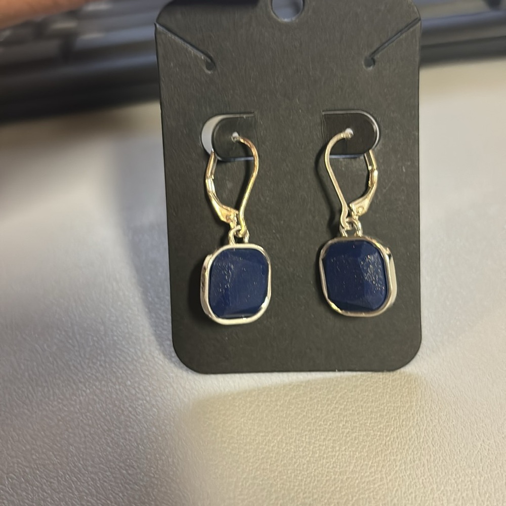NWOT Silver and Sparkly Blue Earrings